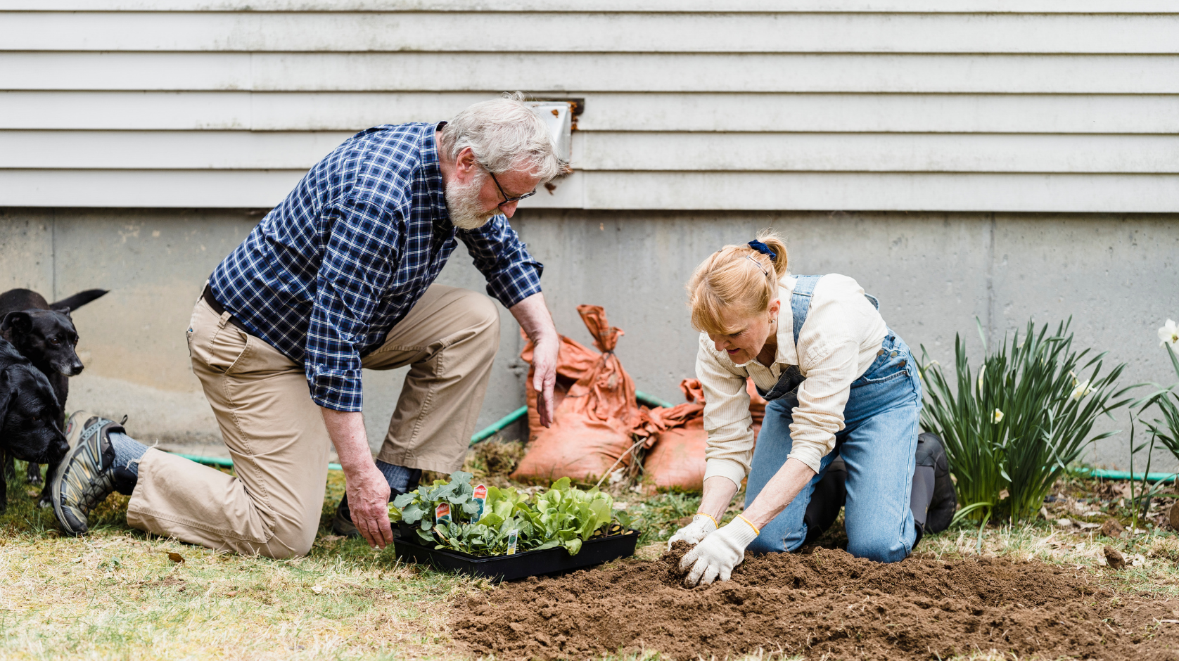 Stay Young at Heart & Sharp in Mind: The Importance of Staying Active as We Age